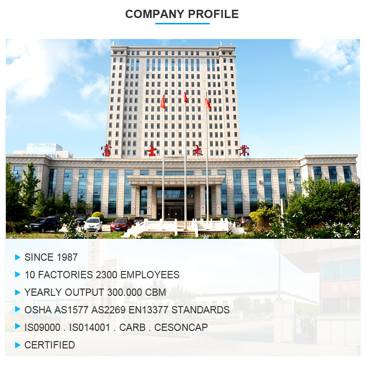 fushi company profile.png